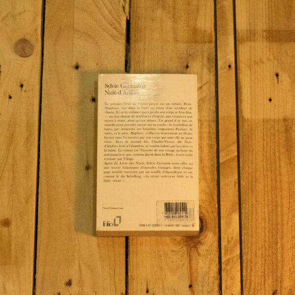 Nuit-d'Ambre – Image 2